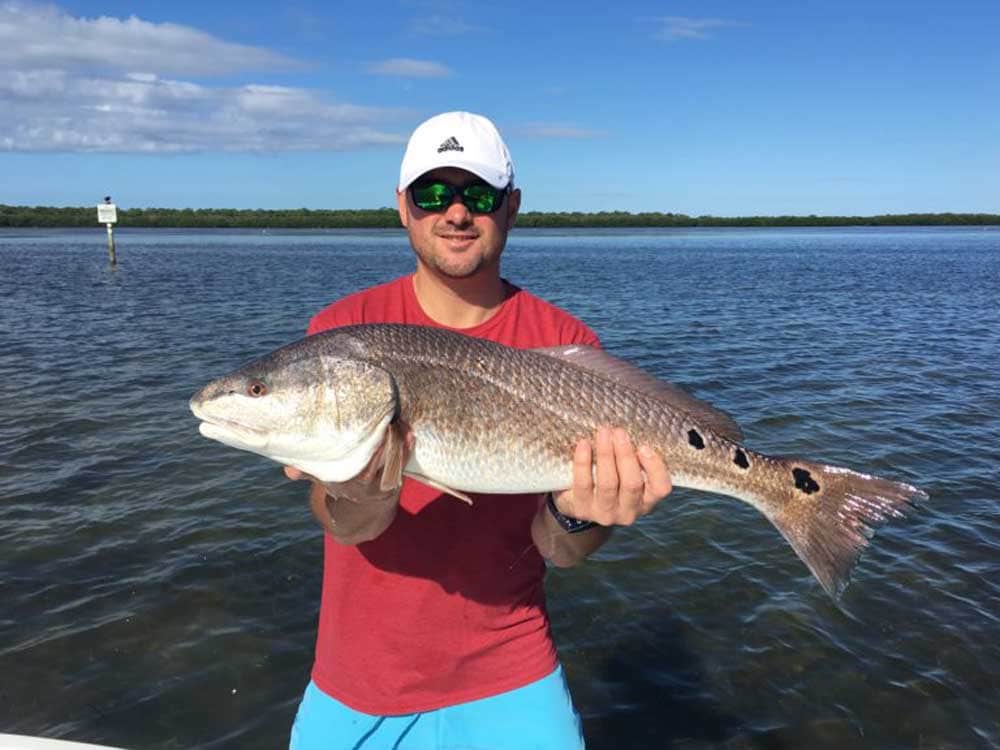 Redfish » Capt. Brian Caudill – Inshore Fishing Charters